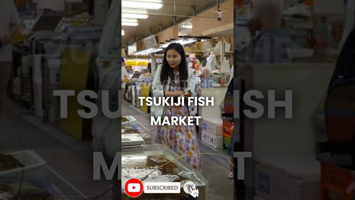 25 Best Things To Do in Tokyo Japan #shorts  | Travel Guide