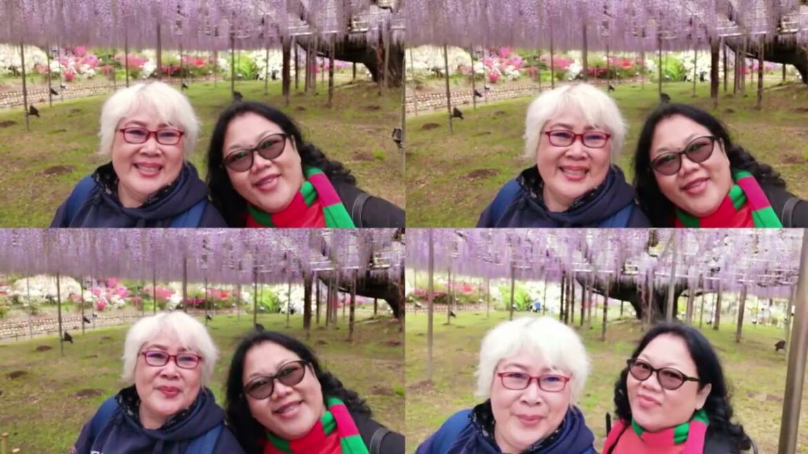 TRAVEL AROUND JAPAN: ashikaga flower park. WIsteria; si bunga ungu yang cantik.