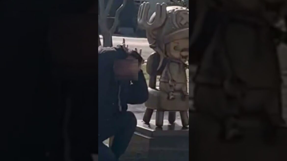 ONE PIECE！チョッパーに会える！CHOPPER！海賊王をめぐるゲーム動画もあります！熊本動植物園