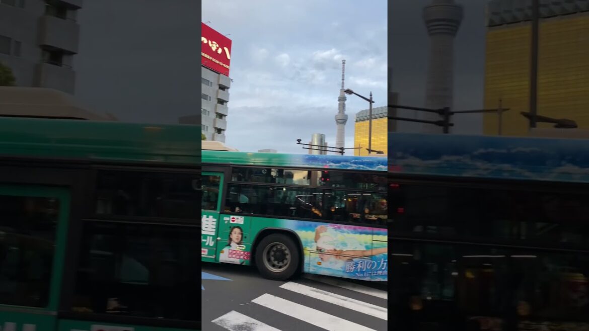 Travel with me to Tokyo sky tree#shortsfeed #hinditravelvlog #trending #hamargola #viral Travel with me to Tokyo sky tree#shortsfeed #hinditravelvlog #trending #hamargola #viral