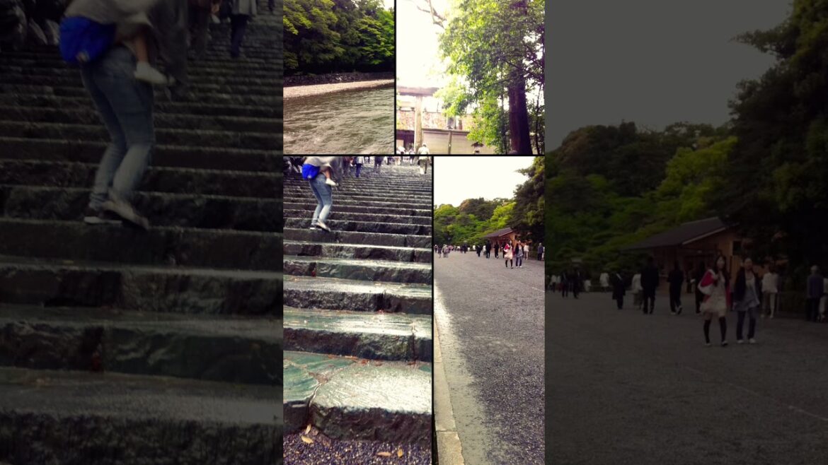 【ぶらり旅】旅好きが選んだおすすめ旅路#伊勢神宮#お伊勢参り#神宮#名古屋#グルメ#赤福#三重県#近畿#旅#おかげ横丁 #gourmet#god#shorts #japan#travel