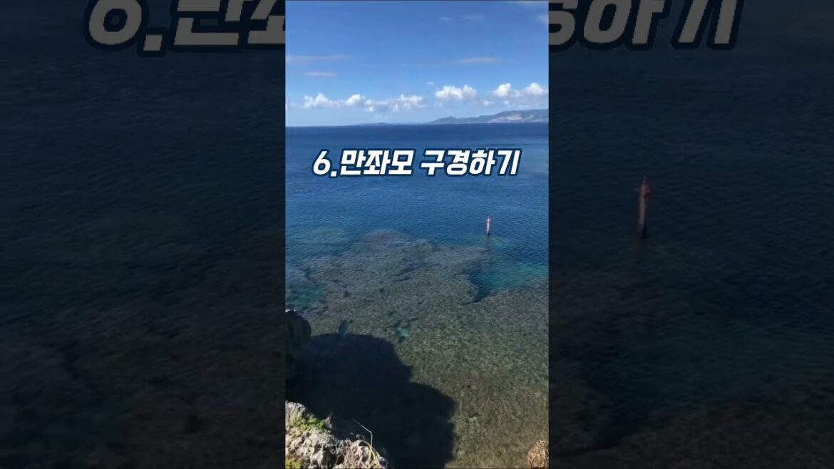 오키나와 여행 1분요약 #shorts #일본여행 #오키나와 #여행 #오키나와여행