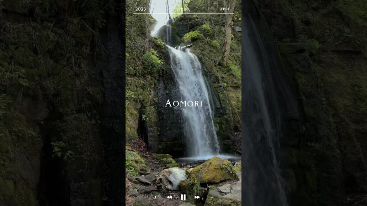 Do you know Aomori prefecture?　📍 Japan #shorts