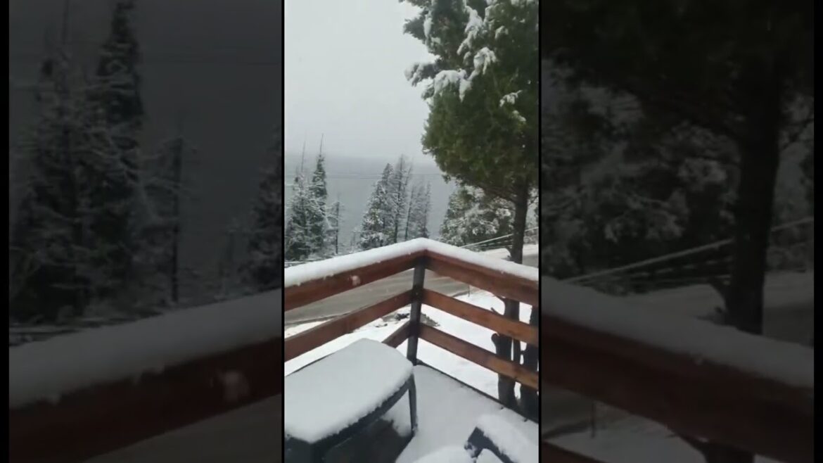 #snowfall #hokkaido #travel #trending #youtubeshorts