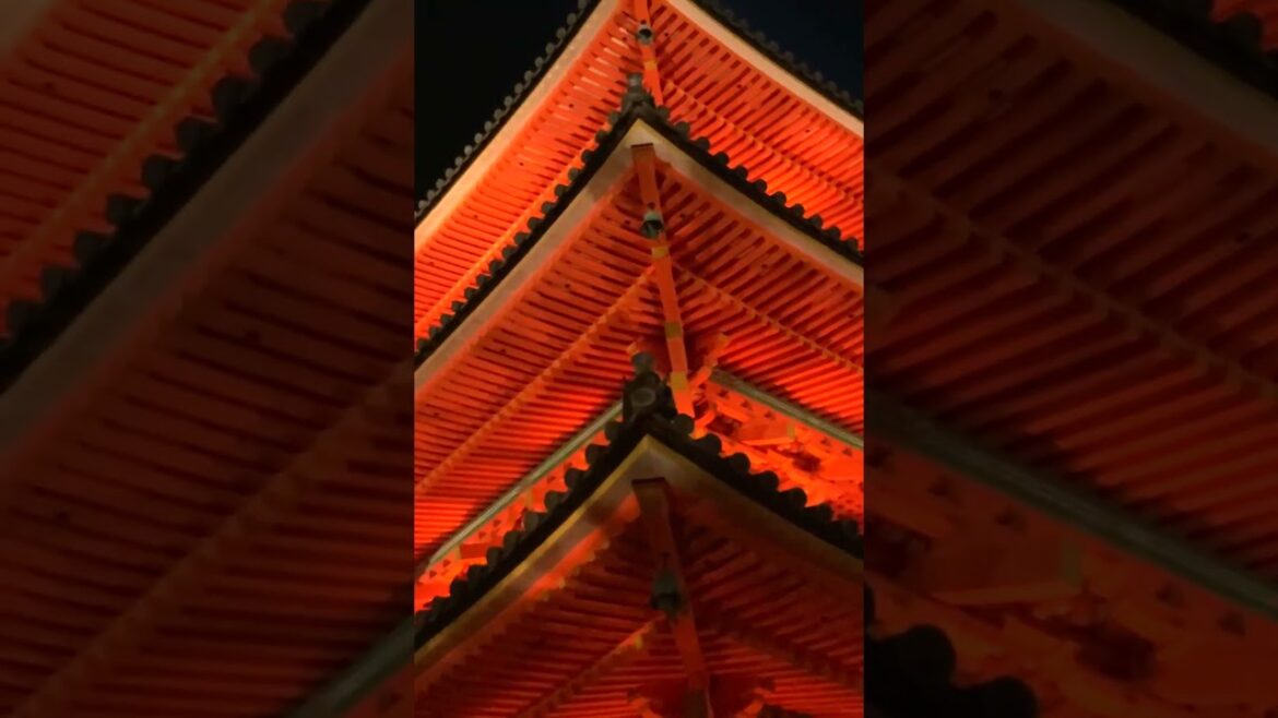 Kyoto Kiyomizudera Night Walk Kyoto Kiyomizudera Night Walk