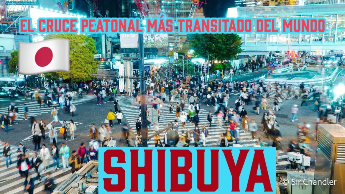 SHIBUYA: EL CRUCE PEATONAL 🚶🏻♀️🚶🏼🚶🏽♂️ MÁS TRANSITADO DEL MUNDO ESTÁ EN JAPÓN 🇯🇵 SHIBUYA: EL CRUCE PEATONAL 🚶🏻♀️🚶🏼🚶🏽♂️ MÁS TRANSITADO DEL MUNDO ESTÁ EN JAPÓN 🇯🇵
