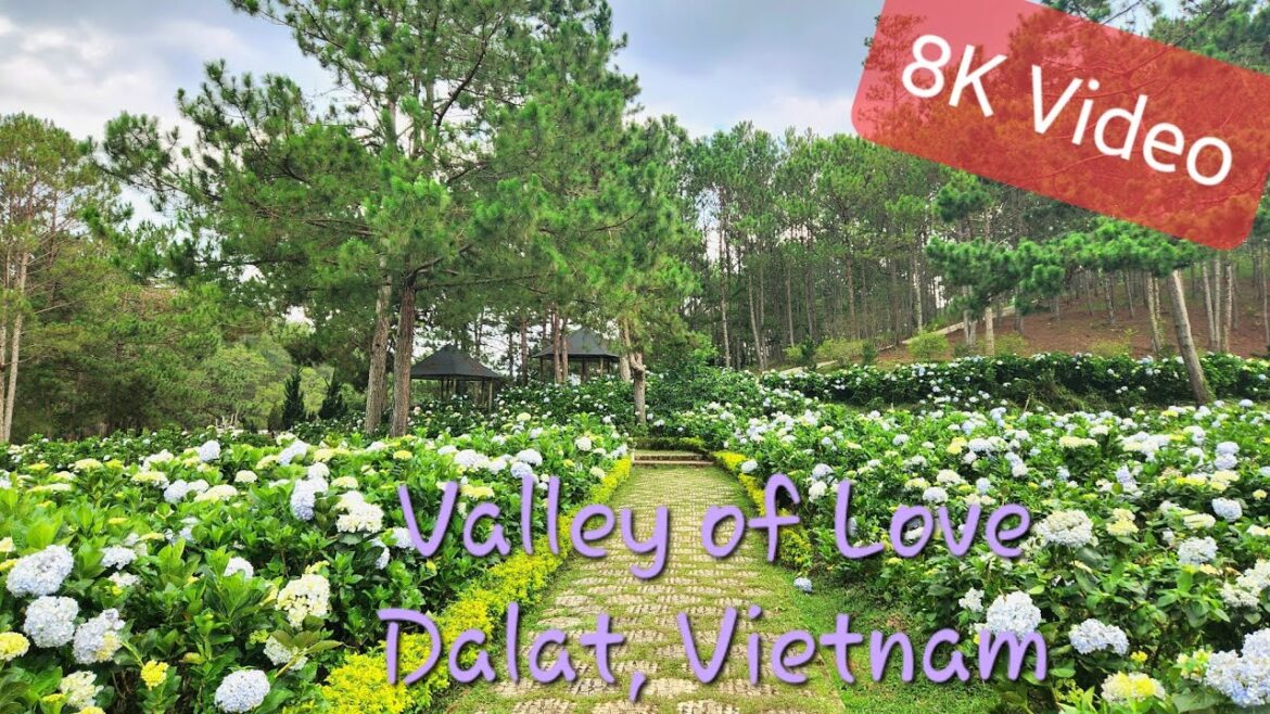 8k video | Valley of Love | Dalat, Vietnam 8k video | Valley of Love | Dalat, Vietnam
