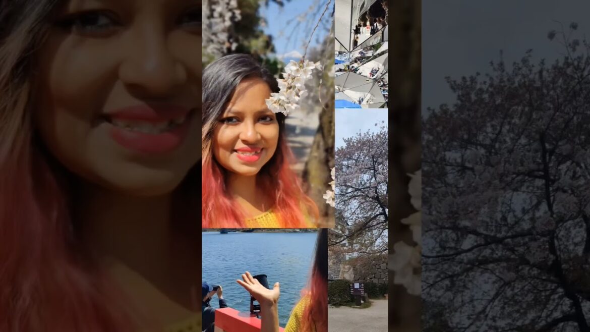 Japan in 21 Days | Japan #japan #travelvlog #travelshorts #youtubeshorts