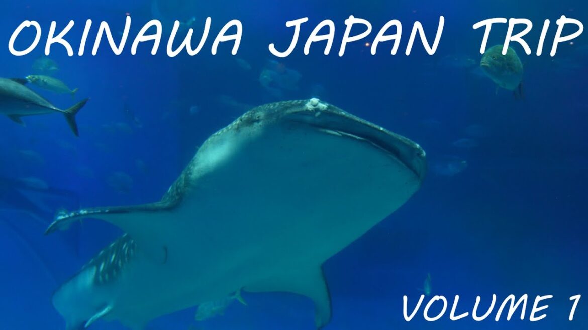 沖縄旅　東京 - 那覇空港 - 美ら海水族館