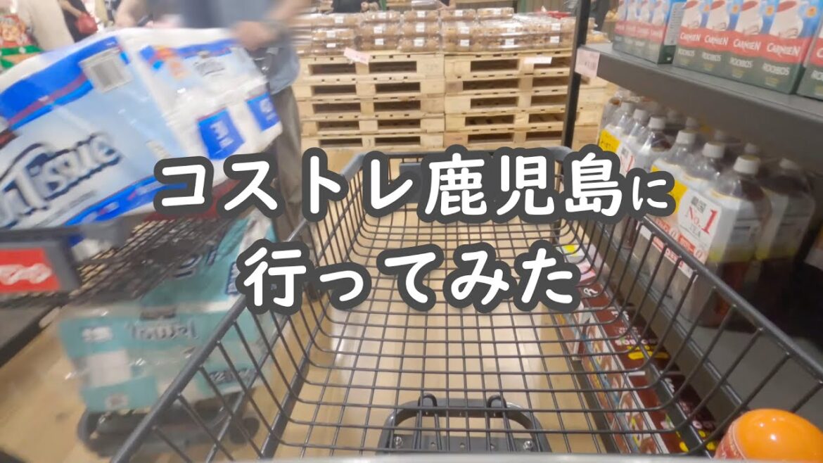 【鹿児島 散歩】新スポット『コストトレーダーマート鹿児島店』に行ってきました【コストレ】【コストコの商品が買える店】【vlog】 【鹿児島 散歩】新スポット『コストトレーダーマート鹿児島店』に行ってきました【コストレ】【コストコの商品が買える店】【vlog】