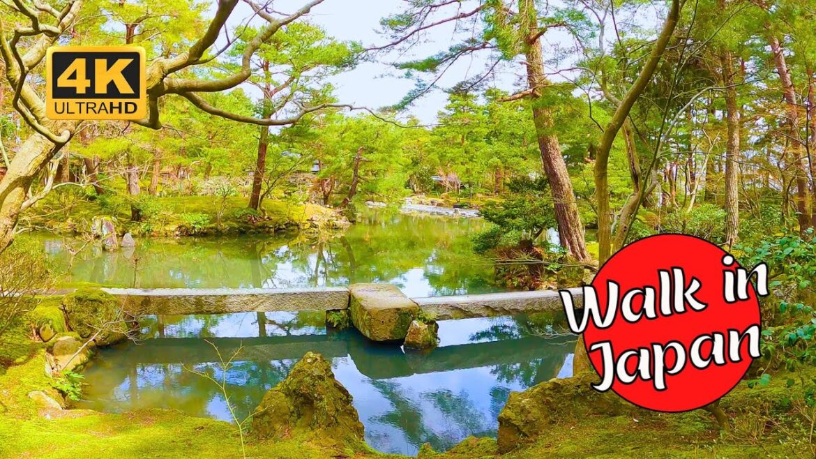 Enchanting Japanese Garden in Old Castle Town [4K 60FPS]