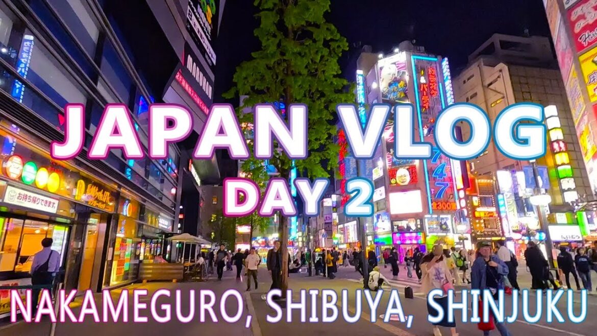 Traveling to Japan - Tokyo | Japan Vlog Day 2