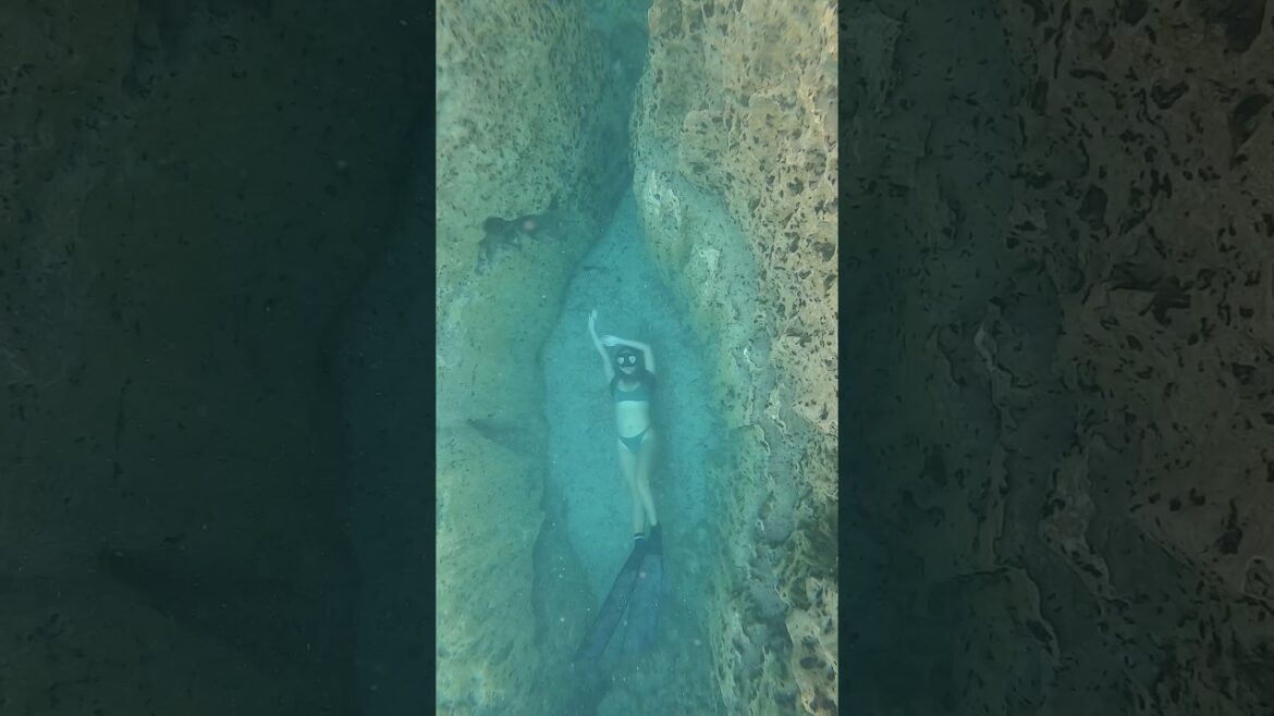 Freediving Girl in Super Clear Lake. #shorts #travel #freediving Freediving Girl in Super Clear Lake. #shorts #travel #freediving
