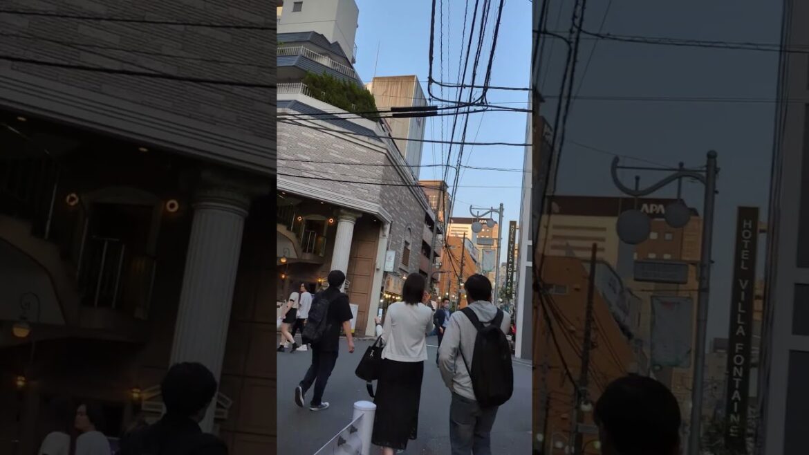 水曜夜の大久保公園  外人が頑張る #shorts