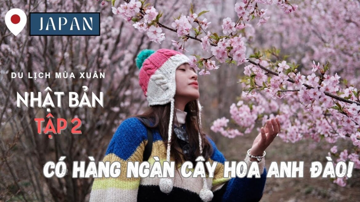 Du Lịch Nhật Bản #2: Tokyo – Fukushima – Vietravel Tour Du Lịch Nhật Bản #2: Tokyo - Fukushima - Vietravel Tour