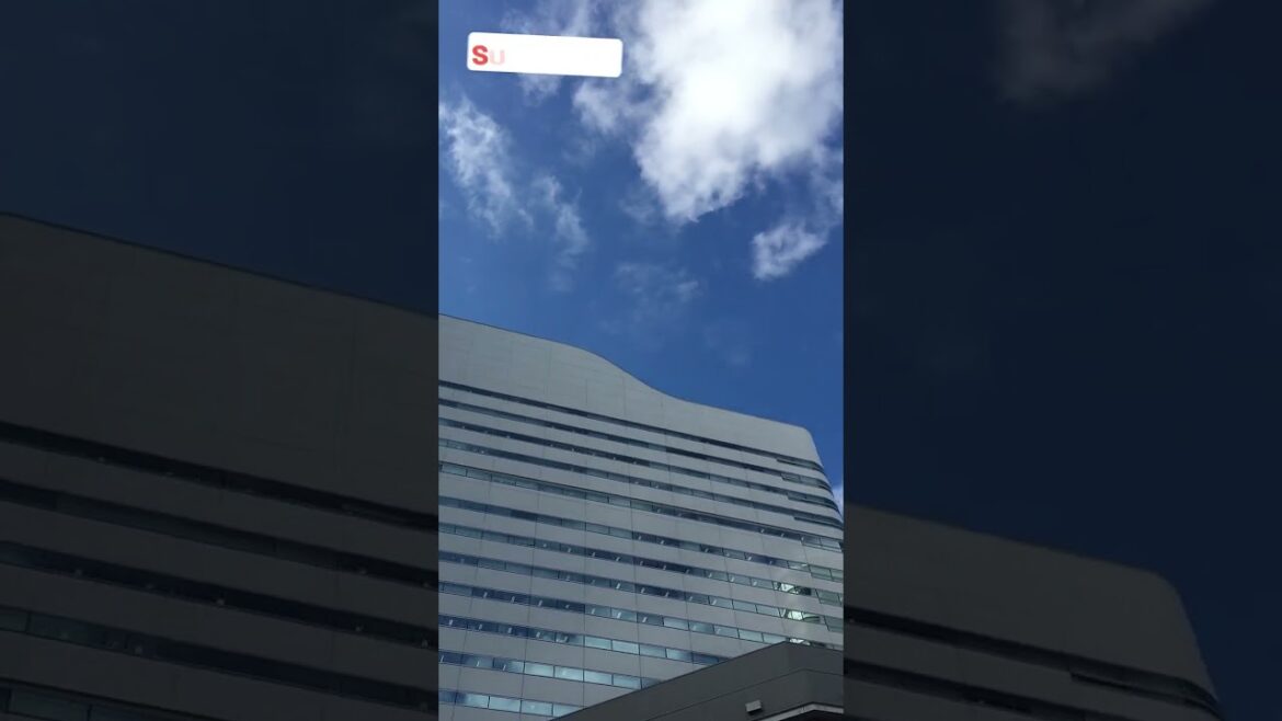 🤗 😮  ✈️ MINATO MIRAI 21 EN YOKOHAMA, JAPÓN.