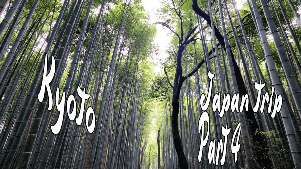 Japan Trip April 2023 Travel VLOG #4 - KYOTO - Bento boxes, Ryokan Hotel. Gion. Arashiyama Bamboo
