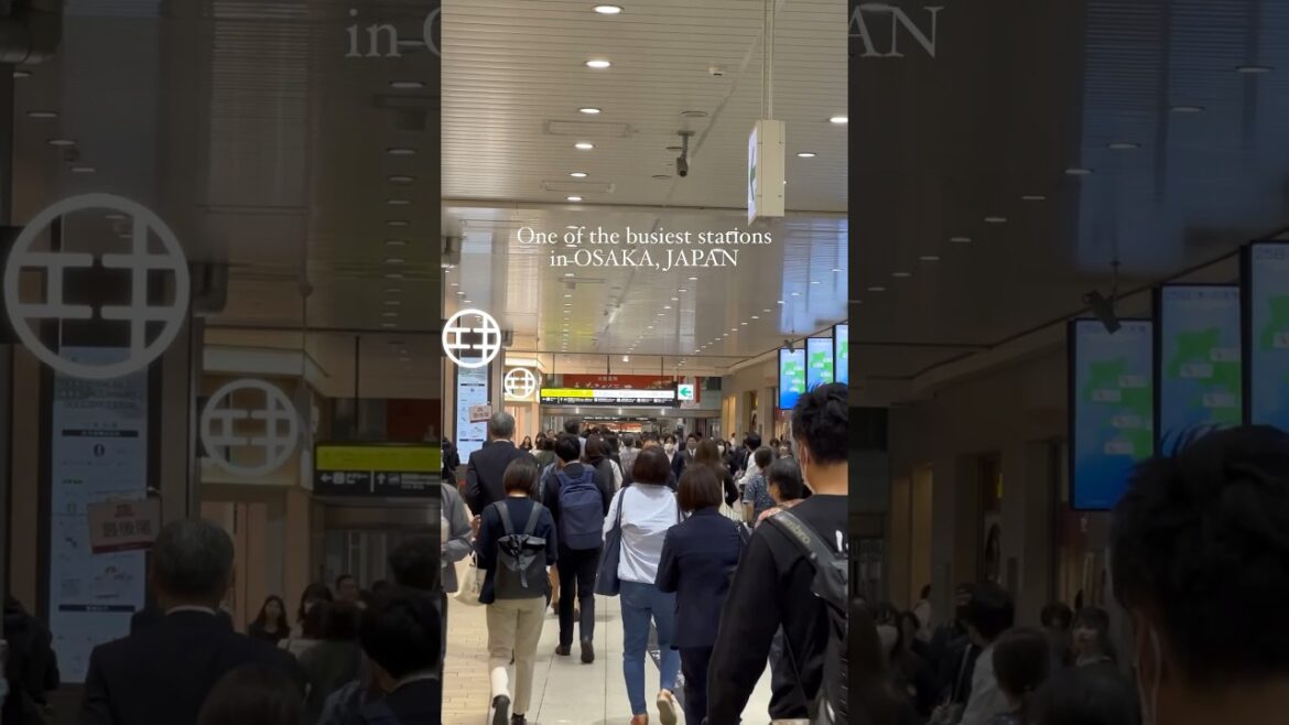 BUSTLING SHIN-OSAKA STATION ONE OF THE BUSIEST TRAINS IN OSAKA JAPAN #TrainStation #Travel #CityLife BUSTLING SHIN-OSAKA STATION ONE OF THE BUSIEST TRAINS IN OSAKA JAPAN #TrainStation #Travel #CityLife