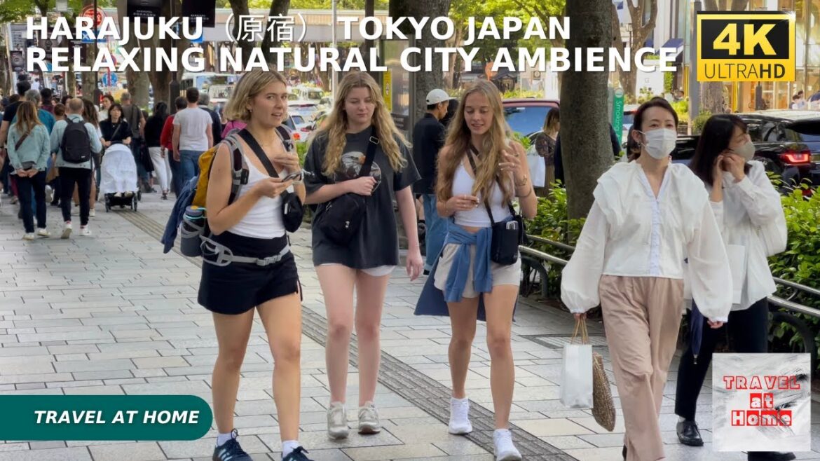 4k hdr japan travel | Walk in Harajuku（原宿）Tokyo japan |  Relaxing Natural City ambience