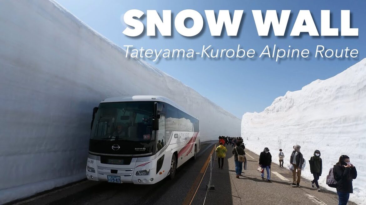 Snow wall taller than bus?! Last day camping at Tateyama