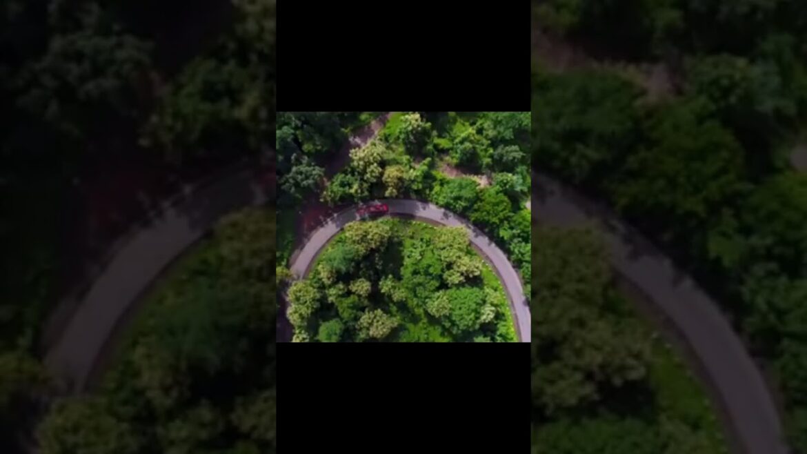 beautiful japan| |travel fazal#ytshortsvideo beautiful japan| |travel fazal#ytshortsvideo
