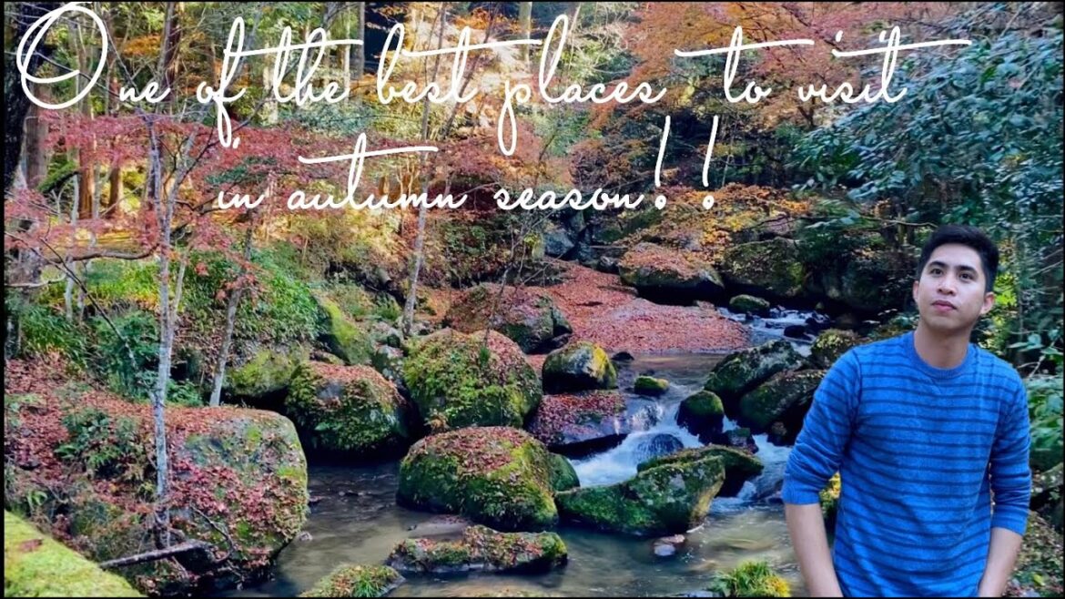 Otaki Gorge Trail || One of the best places to visit in Japan in autumn|| Aichi, Japan ||Japantravel