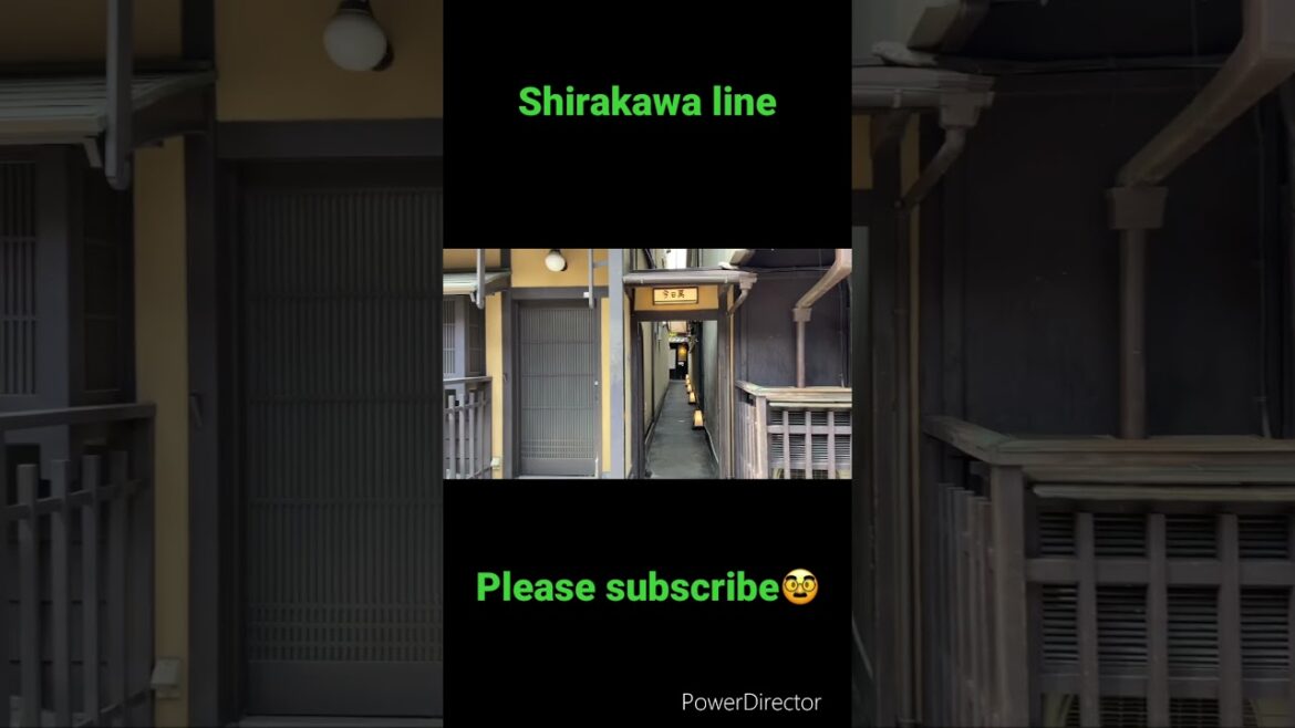 【KYOTO 】Shirakawa line #kyoto #shorts #japan #travel #walking #pleasesubscribe #shrine #trip 【KYOTO 】Shirakawa line #kyoto #shorts #japan #travel #walking #pleasesubscribe #shrine #trip