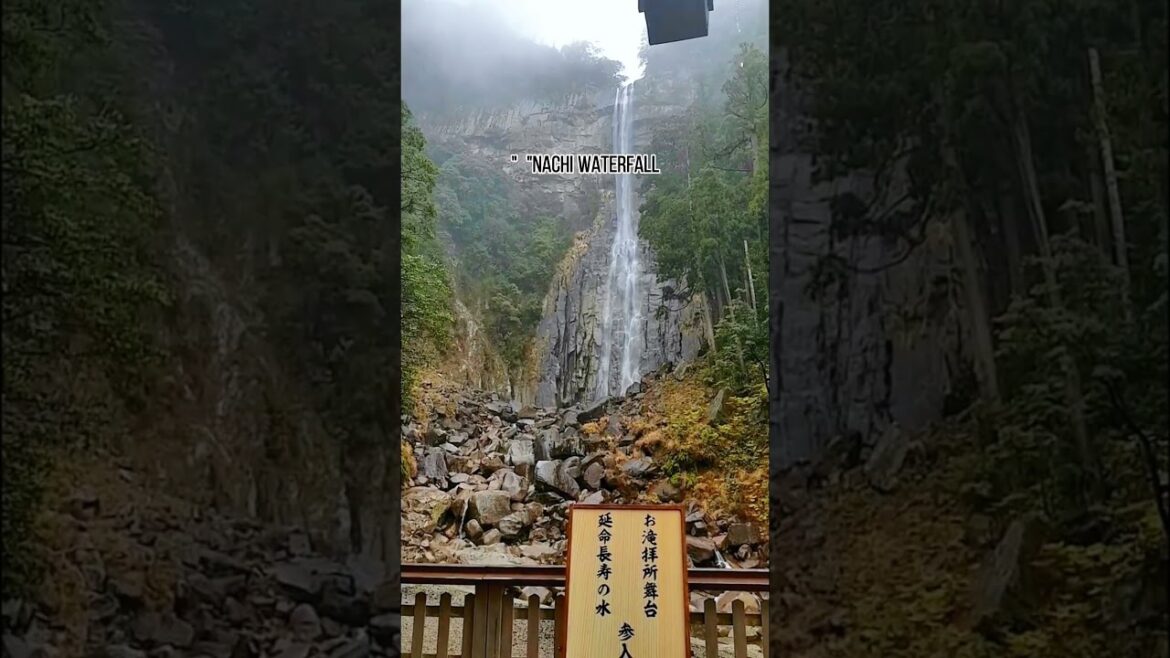 Nachi Waterfall in 5Sec, a beautiful place that artists usually visit #nature #relaxing #shorts