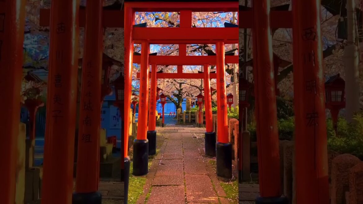 Japan’s best with three destinations: Tokyo: for energy - Kyoto: for culture - MountFuji: for views