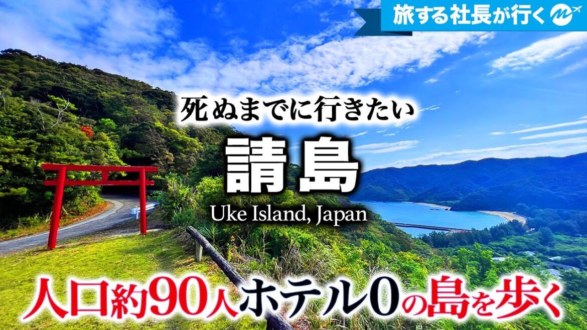 【知られざる世界】請島（うけじま）ひとり旅。奄美大島南端で体験した43歳の一人旅が人生観を大きく変えた！【鹿児島・奄美群島・離島・旅行・観光】