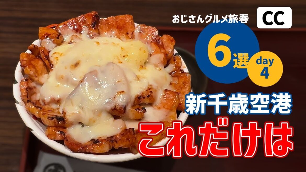 【新千歳空港から出ないグルメ旅4日目】札幌ついでのオススメ/いくら/豚丼/ソフトクリーム/フードコート/スイーツ/カレー/おじさん/観光/hokkaido/trip/vlog 【新千歳空港から出ないグルメ旅4日目】札幌ついでのオススメ/いくら/豚丼/ソフトクリーム/フードコート/スイーツ/カレー/おじさん/観光/hokkaido/trip/vlog