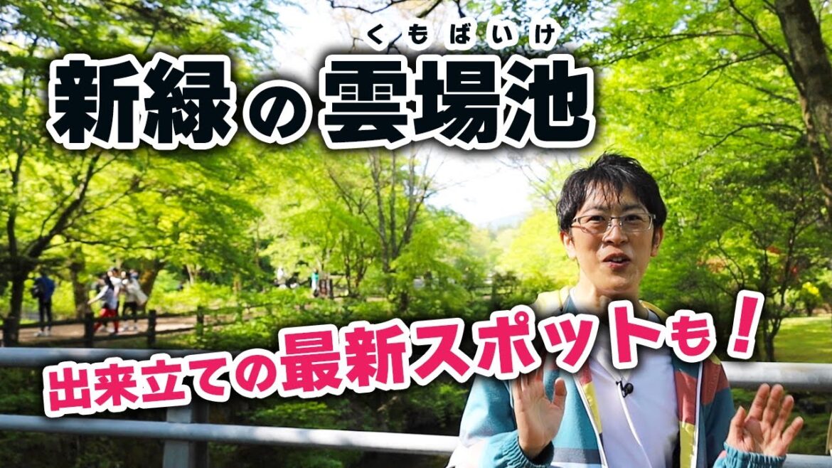 【5月の雲場池】やっぱり軽井沢の新緑はすごい！輝き溢れるグリーンシーズンをとことん楽しんでほしいです。