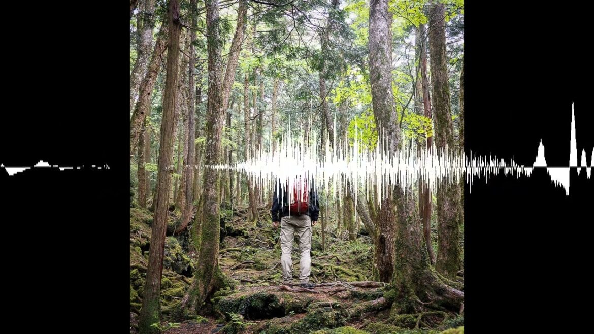 Big in Japan, Part Two – der Aokigahara, das Leben und der Tod – Frei raus – Abenteuer fürs Leben Big in Japan, Part Two – der Aokigahara, das Leben und der Tod - Frei raus – Abenteuer fürs Leben