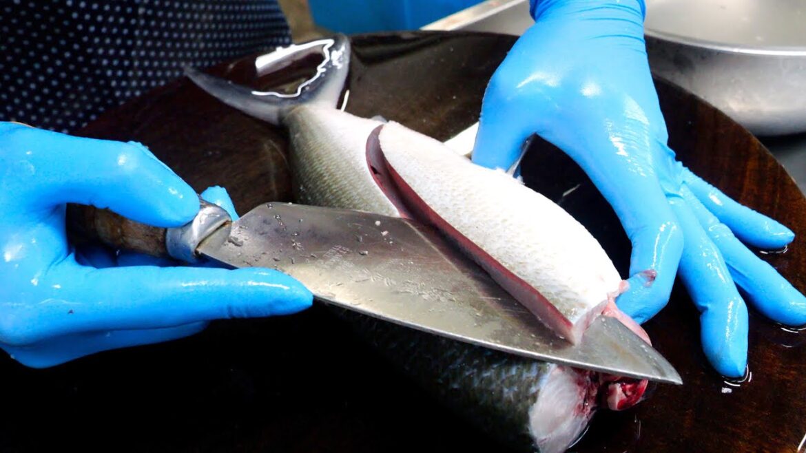 밀크피쉬 부터 참다랑어 까지 다양한 생산 커팅 ! 음식 몰아보기 | Various Fish Cutting and Cooking | Korean Street Food 밀크피쉬 부터 참다랑어 까지 다양한 생산 커팅 ! 음식 몰아보기 | Various Fish Cutting and Cooking | Korean Street Food