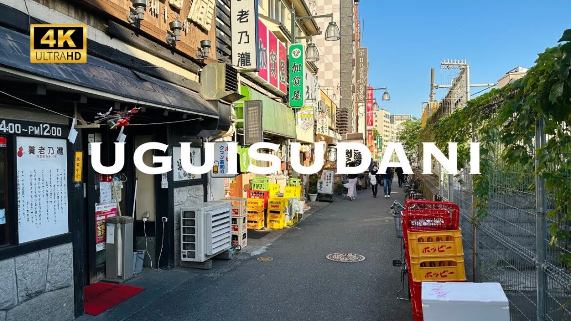 [4K] UGUISUDANI Tokyo 💛 Walking Tour / 鶯谷 東京 散歩