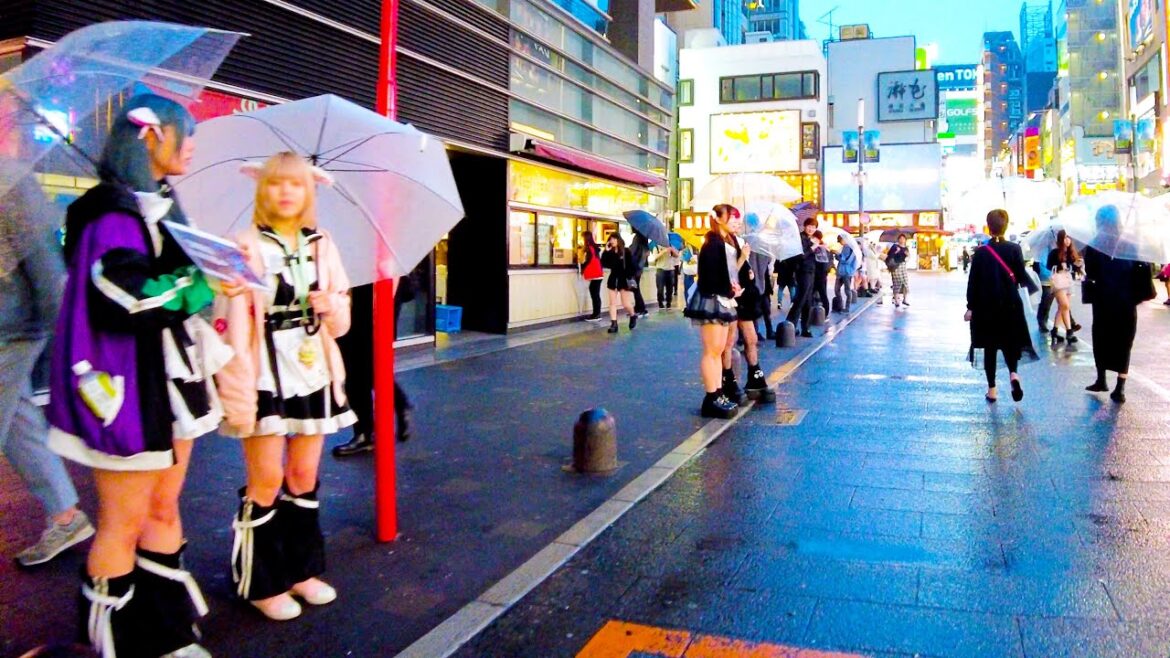 Shinjuku in Tokyo 🐶🍻 Night Rain Kabukicho♪💖4K ASMR non-stop 1 hour 01 minutes Shinjuku in Tokyo 🐶🍻 Night Rain Kabukicho♪💖4K ASMR non-stop 1 hour 01 minutes