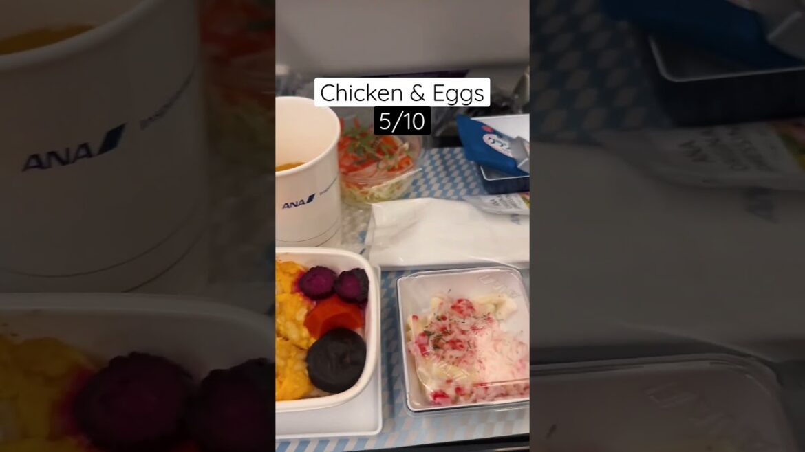 What I ate on my flight to Japan! #travel #shortsviral #japan #tokyo #food #explore #shorts