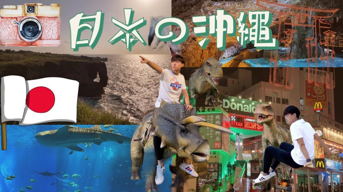 【日本の沖繩】48小時北中南沖繩全走！絕美玉泉洞！美麗海鯨鯊超壯觀｜萬座毛｜美國村