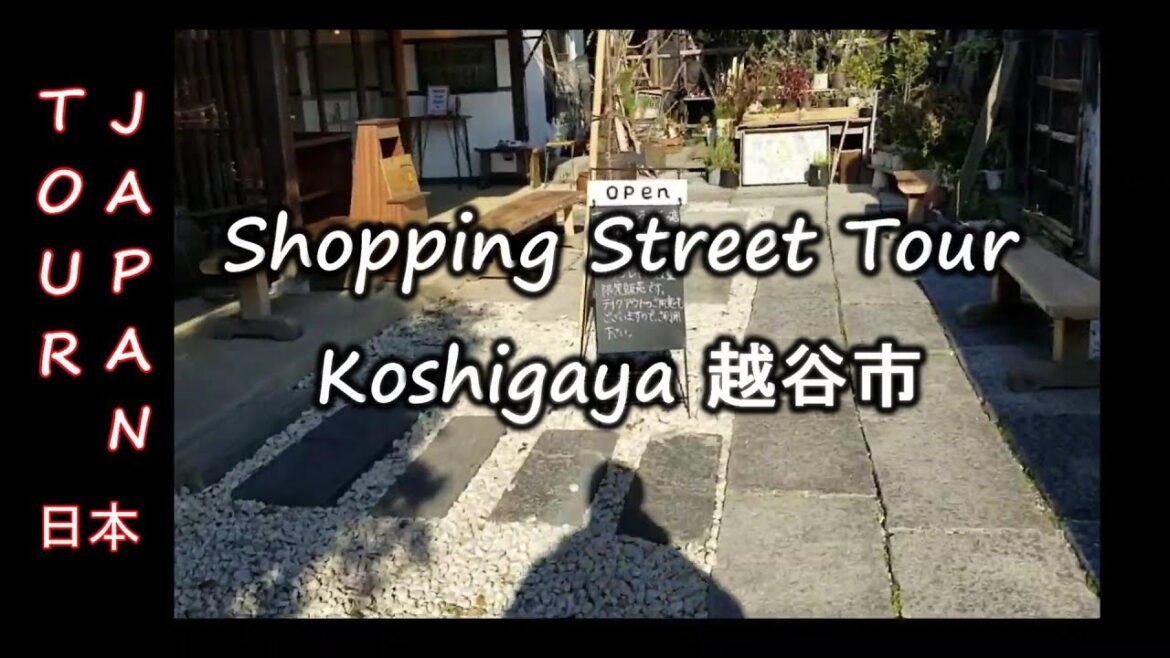 Traditional Japanese Shopping Street Tour in Koshigaya 越谷市 Traditional Japanese Shopping Street Tour in Koshigaya 越谷市
