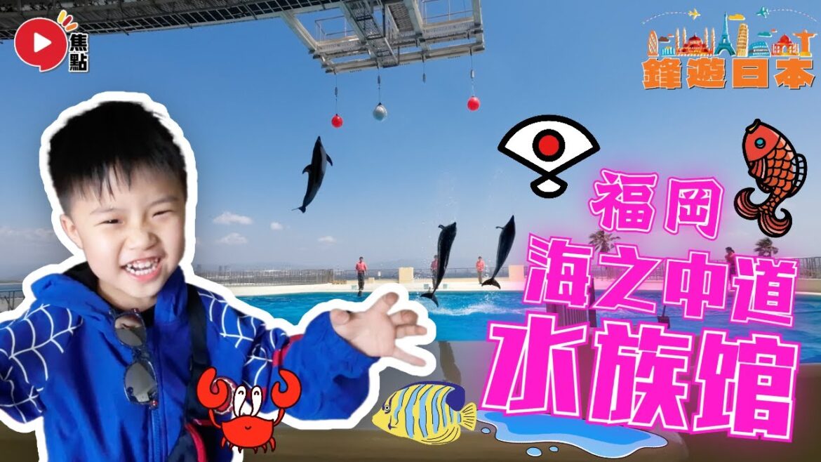 福岡「海洋世界海之中道」水族館（MARINE WORLD） マリンワールド海の中道 《鋒遊世界：日本福岡︱EP 1》