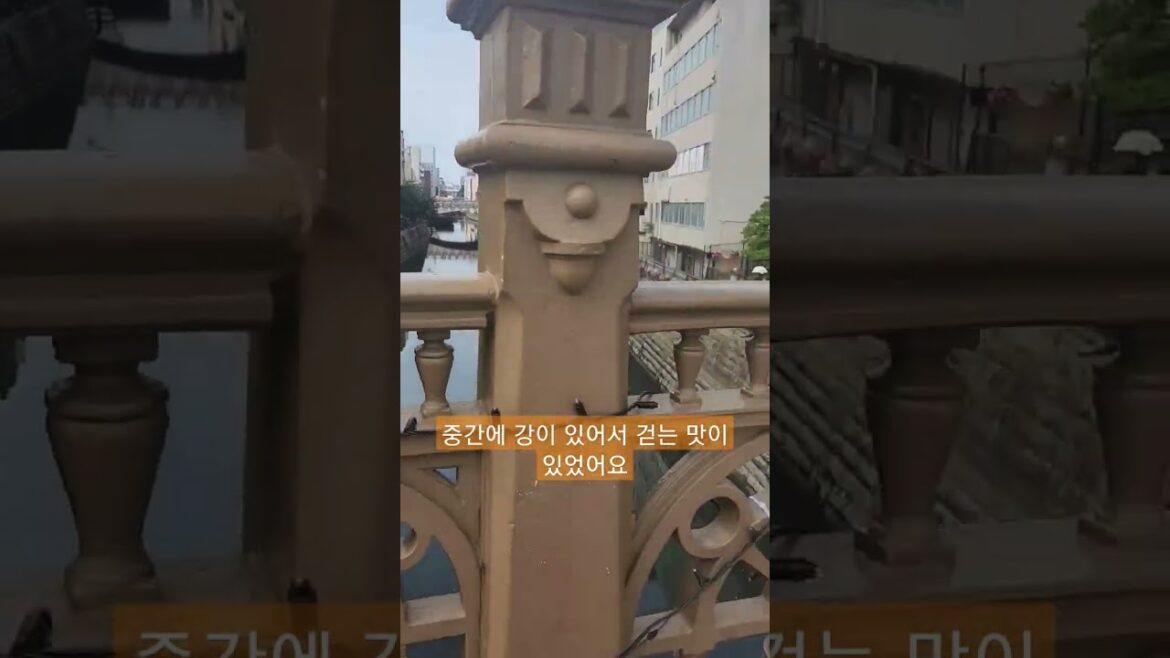 걷기 운동..! #나고야여행 #nagoya #유학 #travel #나고야 #일본어학교 #애니메이트