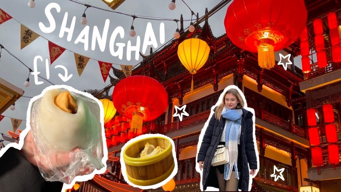 ONE DAY IN CHINA’S MEGACITY – Shanghai Travel Vlog ONE DAY IN CHINA’S MEGACITY - Shanghai Travel Vlog