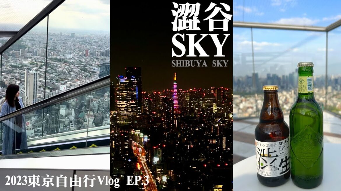 【2023東京自由行Vlog】EP.3 澀谷SHIBUYA SKY｜宮下公園｜澀谷逛街niko and...｜MIYASHITA PARK｜澀谷橫丁｜渋谷スカイ｜日本自助旅遊｜東京夜景｜景點美食推薦｜