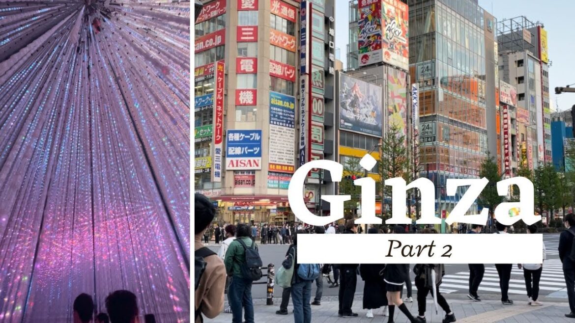 Team labs like you’ve never seen !