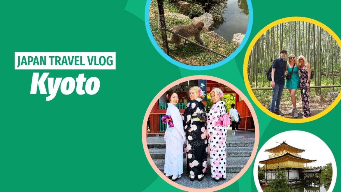 Japan Travel Vlogs | Kyoto Japan Travel Vlogs | Kyoto