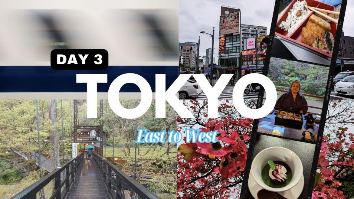 DAY 3 TOKYO – JAPAN 2023 DAY 3 TOKYO - JAPAN 2023