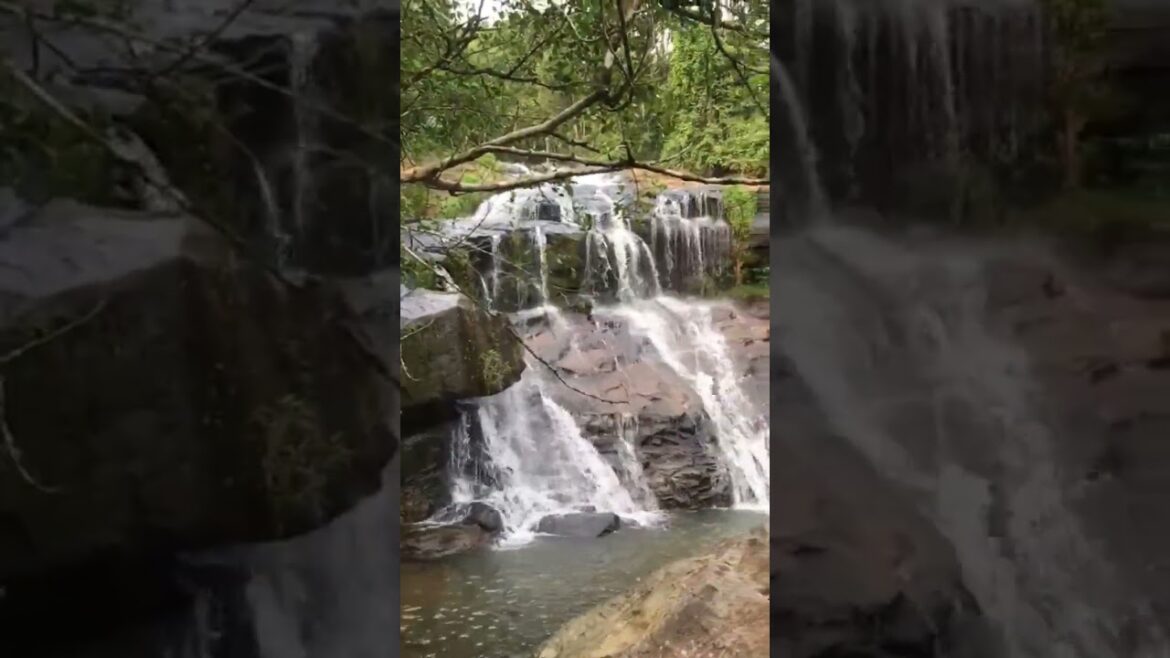 #shorts | Goraka Ella is a beautiful waterfall in Sri Lanka 😍🤩 #youtubeshorts 🔥 #short