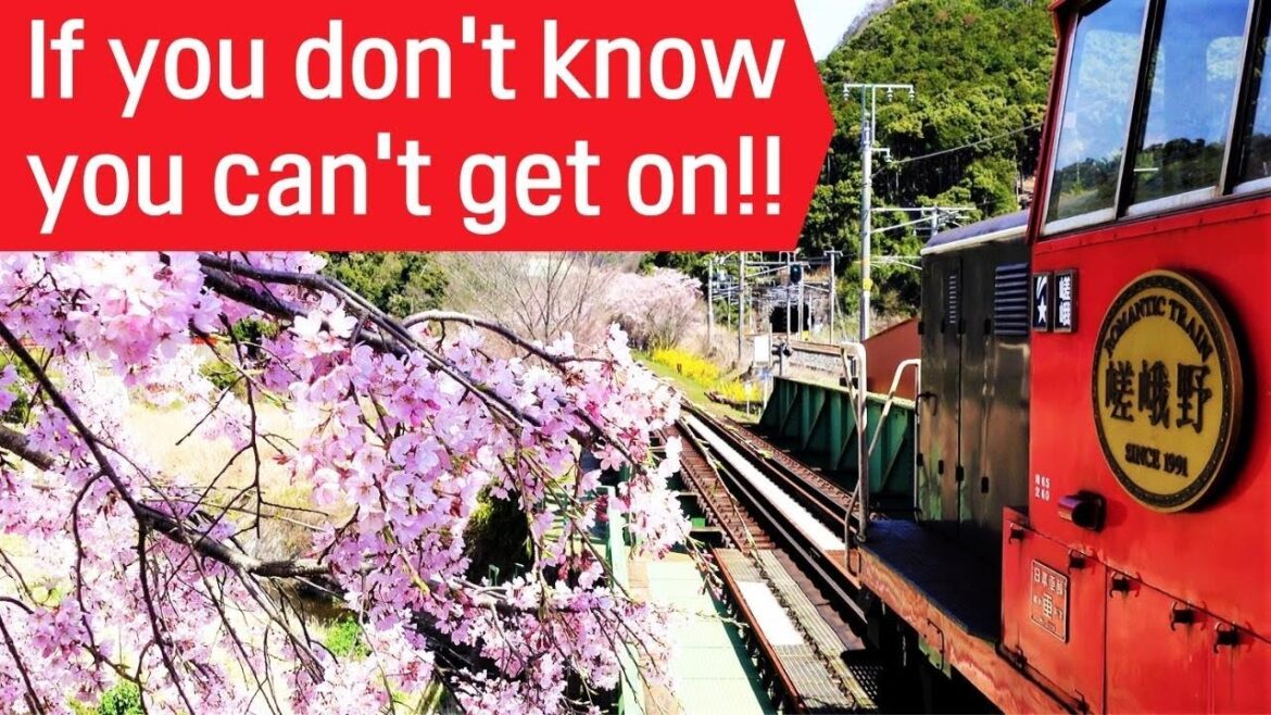 Sagano Romantic Torokko Train Complete Guide! Cherry Blossoms in Kyoto Japan