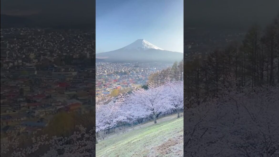 📍Mount Fuji, Japan | #adventure #explore #nature #travel #shorts #fyp #foryou #thetouriststale