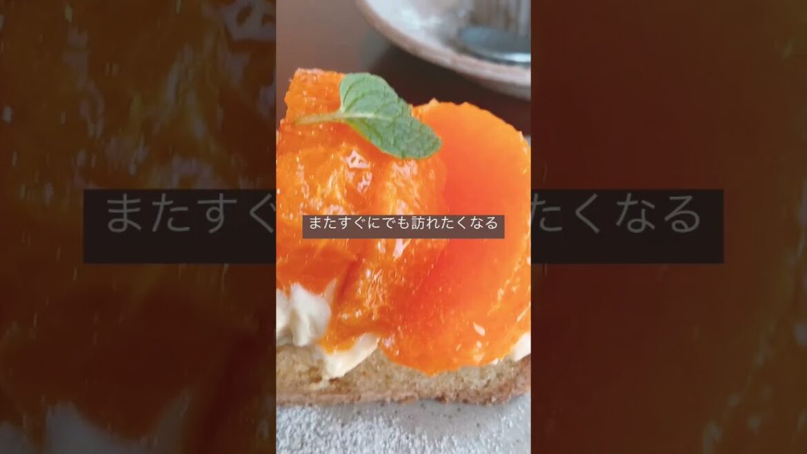 絶対おすすめ【函館で行くべきcafe】素敵カフェのオーラ全開！私的好物案内 #shorts  #shortsvideo #travel  #函館 #cafe #北海道 #カフェ巡り #カフェ
